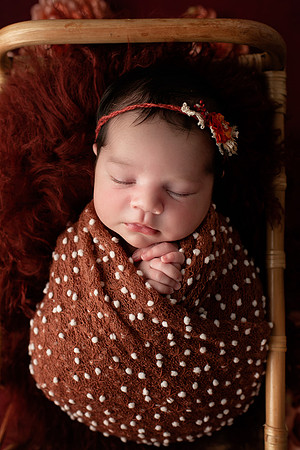 AAROHI_14DAYS_14