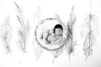 JULLIAN_11DAYS-9
