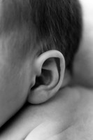 NOAH_14DAYS-4