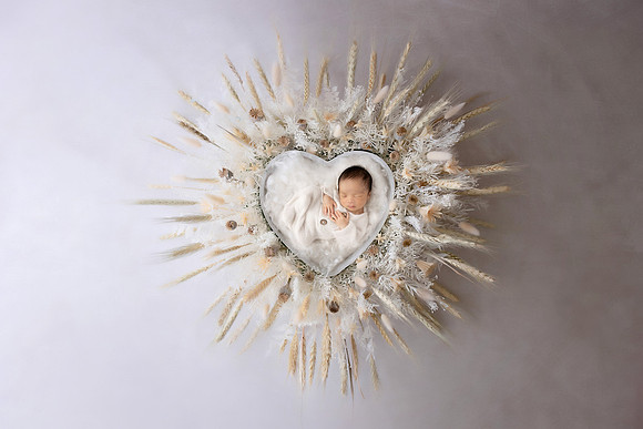 ANDERSON_10DAYS-38