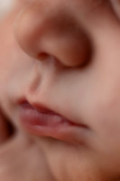 EZRA_14DAYS-7
