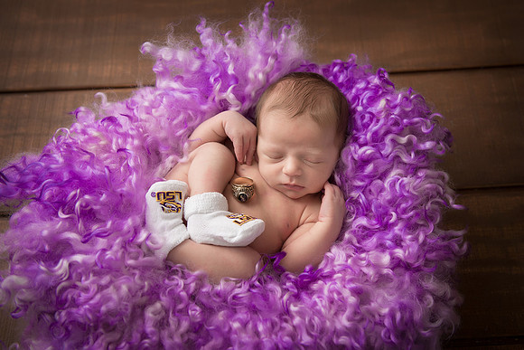 TEDDY27