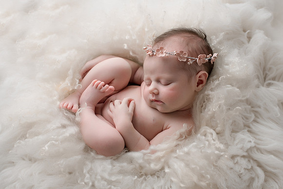 WILLOW_59