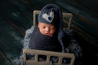 WOLFE_20DAYS-12