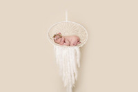 Tinley - 10 days