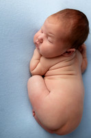 NOAH_14DAYS-11