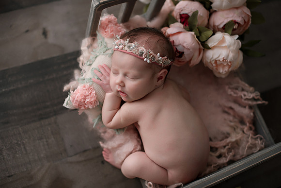 WILLOW_63