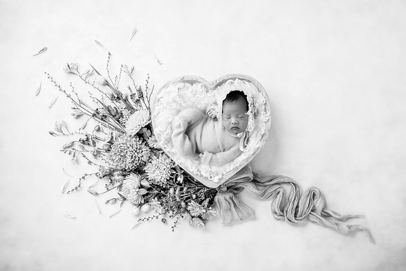 IVORY_10DAYS-14