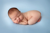 NOAH_14DAYS-10