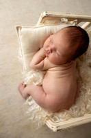 NOAH_14DAYS-17
