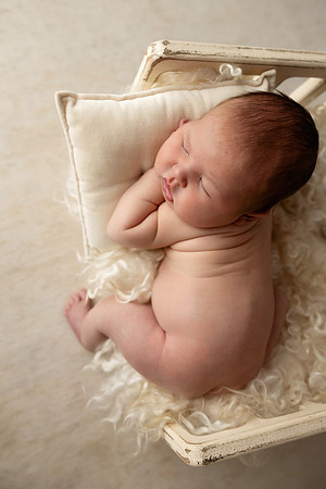 NOAH_14DAYS-17